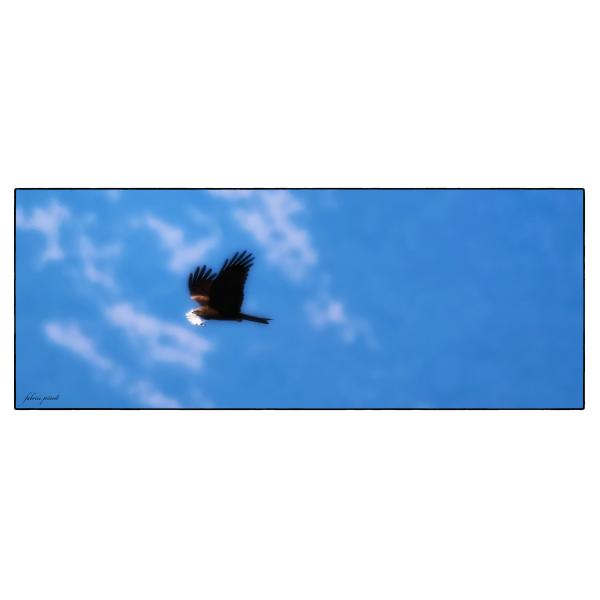 PHOTO84, CLUB, 84 , LUBERON